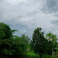 Đại Hắc Lang
